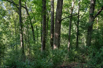 Perl Road, Chandlersville, OH 43727 - Photo 9