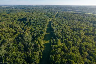 Perl Road, Chandlersville, OH 43727 - Photo 43