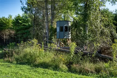 Perl Road, Chandlersville, OH 43727 - Photo 5
