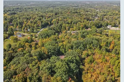 4573 Nettleton Road, Medina, OH 44256 - Photo 43