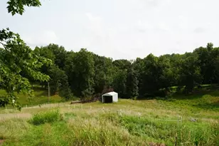1498 Windy Ridge Rd, Vincent, OH 45784 - Photo 29