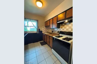 1131 Murray Avenue, Akron, OH 44310 - Photo 11
