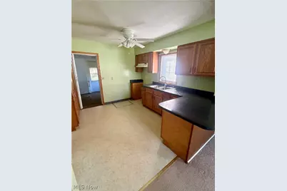 372 E Jefferson Street, Jefferson, OH 44047 - Photo 3