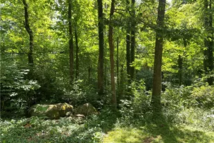 17079 Cats Den Rd, Chagrin Falls, OH 44023 - Photo 35