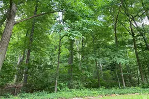 17079 Cats Den Rd, Chagrin Falls, OH 44023 - Photo 33