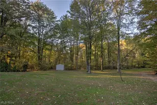 3307 Dawley Rd, Ravenna, OH 44266 - Photo 37