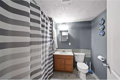 227 Forest Park Drive, LaGrange, OH 44050 - Photo 23