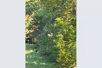 2101 S Cleveland Massillon Road, Akron, OH 44321 - Photo 21