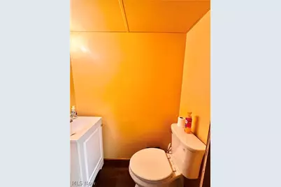 30062 Frank Drive, Wickliffe, OH 44092 - Photo 31