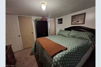 85911 Miller Station Road, Hopedale, OH 43976 - Photo 19