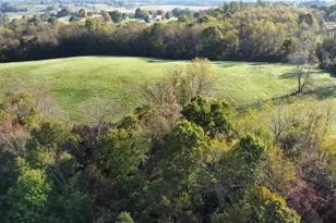 140 East St, Lore City, OH 43755 - Photo 49