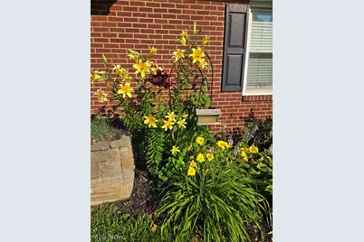 4649 Roosevelt Avenue NE, Canton, OH 44705 - Photo 21