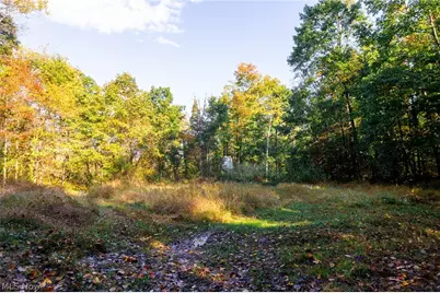 6985 Brush Run Road, Cambridge, OH 43725 - Photo 9