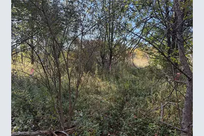 St Route 303, Streetsboro, OH 44241 - Photo 21