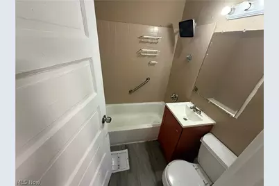 12203 Farringdon Avenue, Loveland, OH 44105 - Photo 9