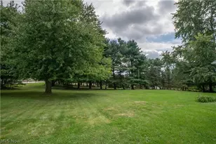 8835 Dover Rd, Apple Creek, OH 44606 - Photo 35