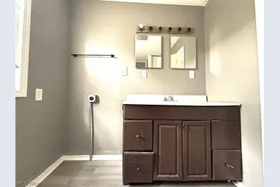 4501 Hyde Avenue, Loveland, OH 44109 - Photo 11