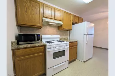 3093 Otokar Avenue, Loveland, OH 44127 - Photo 23