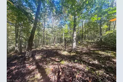 Buttermilk Hill Rd NW, McConnelsville, OH 43756 - Photo 37