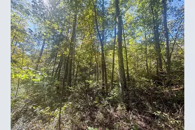 Buttermilk Hill Rd NW, McConnelsville, OH 43756 - Photo 17