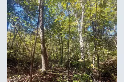 Buttermilk Hill Rd NW, McConnelsville, OH 43756 - Photo 29