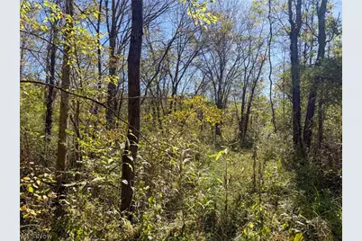 Buttermilk Hill Rd NW, McConnelsville, OH 43756 - Photo 7