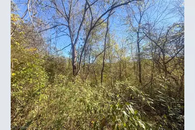 Buttermilk Hill Rd NW, McConnelsville, OH 43756 - Photo 3