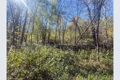 Buttermilk Hill Rd NW, McConnelsville, OH 43756 - Photo 45