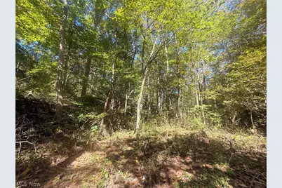 Buttermilk Hill Rd NW, McConnelsville, OH 43756 - Photo 23