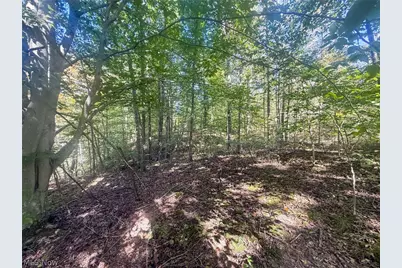 Buttermilk Hill Rd NW, McConnelsville, OH 43756 - Photo 33