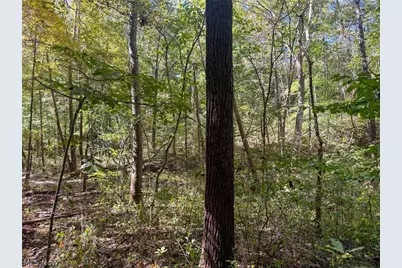 Buttermilk Hill Rd NW, McConnelsville, OH 43756 - Photo 25