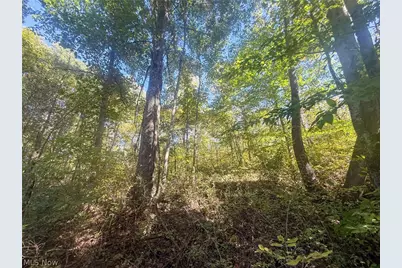 Buttermilk Hill Rd NW, McConnelsville, OH 43756 - Photo 31