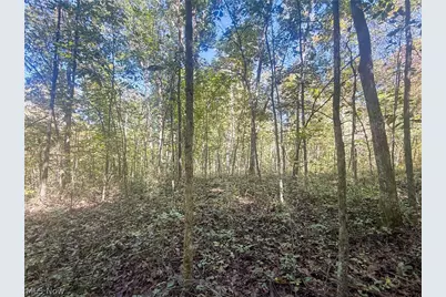 Buttermilk Hill Rd NW, McConnelsville, OH 43756 - Photo 27