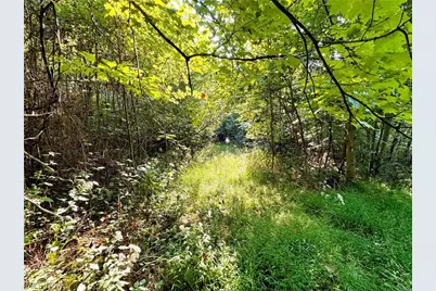 Virginia Ridge Road, Philo, OH 43771 - Photo 47