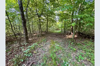 Virginia Ridge Road, Philo, OH 43771 - Photo 45