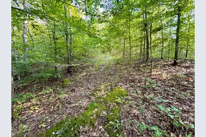 Virginia Ridge Road, Philo, OH 43771 - Photo 43