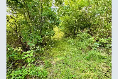 Virginia Ridge Road, Philo, OH 43771 - Photo 33