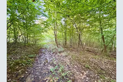 Virginia Ridge Road, Philo, OH 43771 - Photo 39
