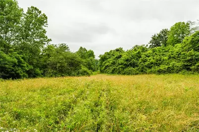 Long Road, Chandlersville, OH 43727 - Photo 7