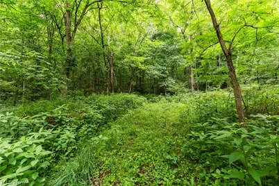Long Road, Chandlersville, OH 43727 - Photo 15