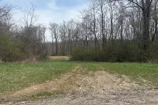 Twp 223, Richmond, OH 43944 - Photo 1