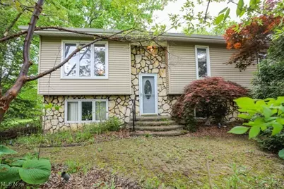 4217 State Route 82, Mantua, OH 44255 - Photo 1