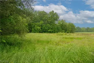2491 Mt Pleasant St NE, Canton, OH 44721 - Photo 1