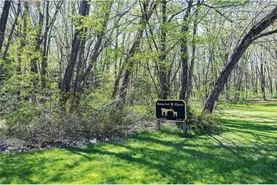V/L Townline Road, North Perry, OH 44057 - Photo 1