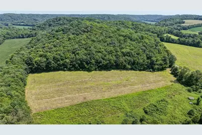 Tiger Valley Road, Danville, OH 43014 - Photo 1