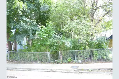 7019 Elton Avenue, Loveland, OH 44102 - Photo 1