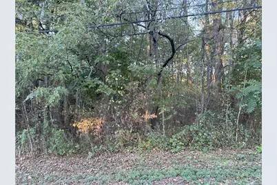 Grace Road, Akron, OH 44312 - Photo 1