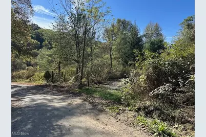 3688 Indian Camp Run Road, Cambridge, OH 43749 - Photo 1