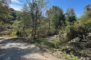 3688 Indian Camp Run Rd, Cambridge, OH 43749 - Photo 1