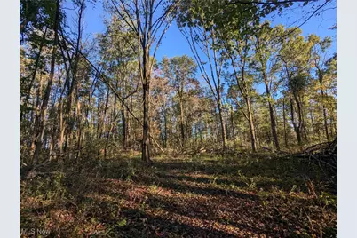 Forbes Road, Wellsville, OH 43968 - Photo 1